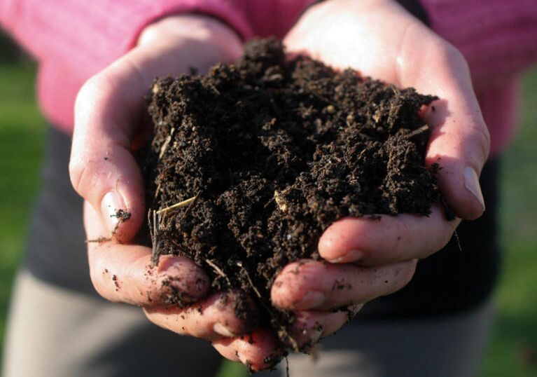 manipulation of soil as a cause of pest infestation
