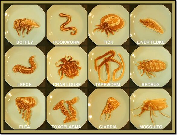 parasites