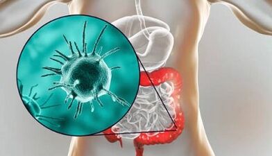 What tests to take for parasites