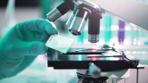 parasite test results