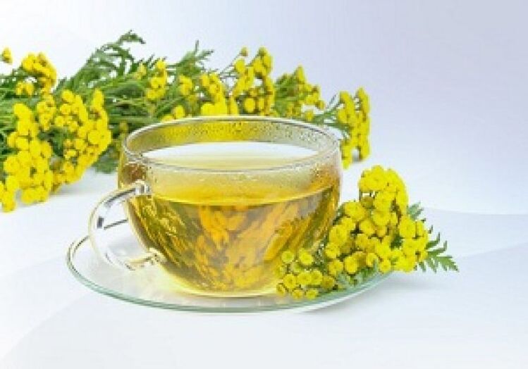 Tansy infusion will help eliminate parasites in the body