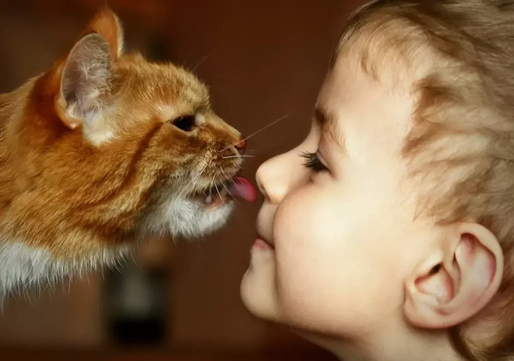 a boy kisses a cat and is infected with worms